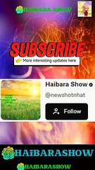 Hidden Millionaire: Never Forgive You