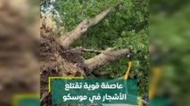 عاصفة قوية تقتلع الأشجار في موسكو