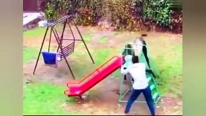 Qurbani Animals Funny Moments 2024 ---- _ funny qurbani animals_funny animals(360P)