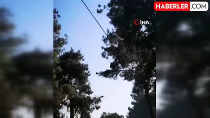 Savaştepe'de arazi yangını ormana sıçradı