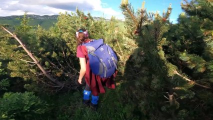 Story of a Most Haunted Place in UK: Pluckley Village