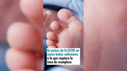 En países de la OCDE no nacen los bebés suficientes a lo que requiere la tasa de reemplazo
