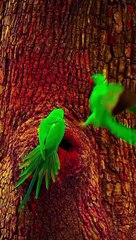 Tum sa mil kr ya jana h hota q dil ya deewana ha