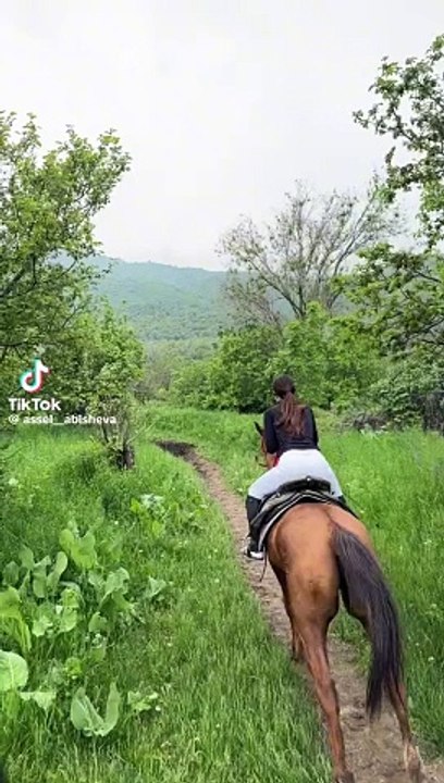 "Stunning Horse Gallop with Scenic Views | Breathtaking Equine Beauty"