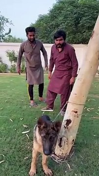 Chor chori krty pakry Gaye | Part 2