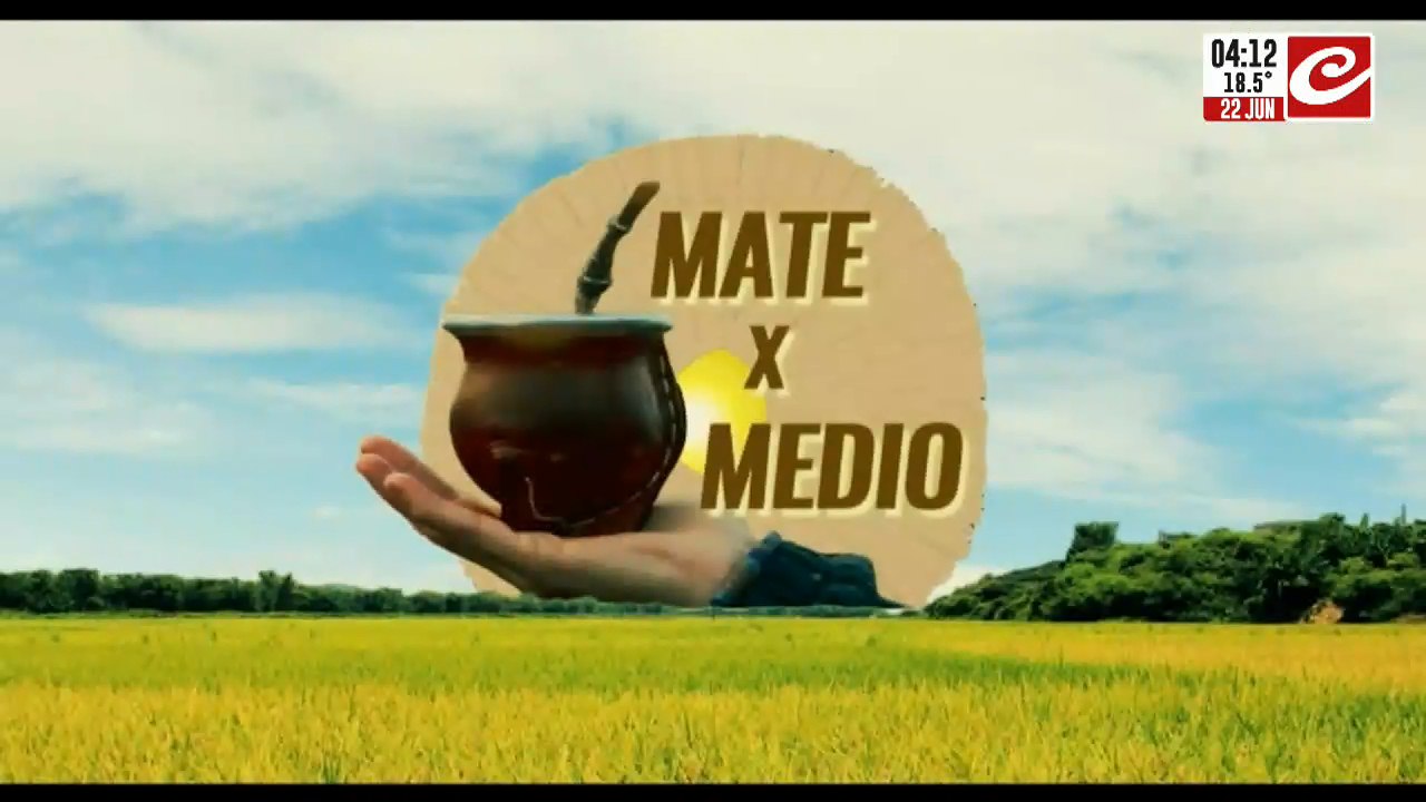 Mate x medio (22/6/2024)