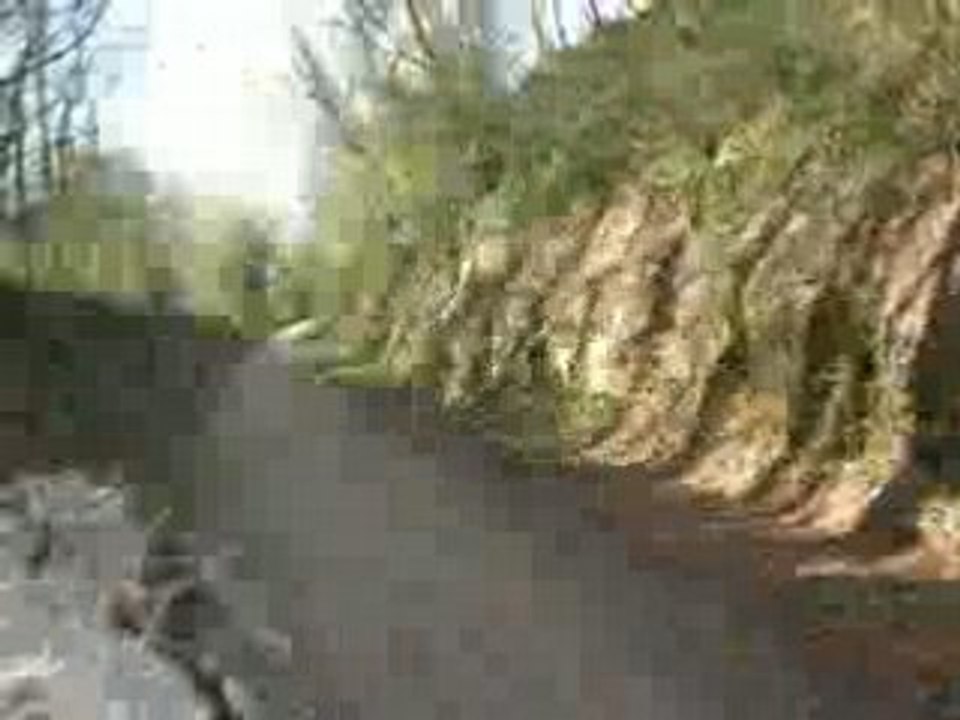 Photo 021