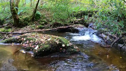 "Bien-être" Eau cascade rocher - Relaxation - Détente