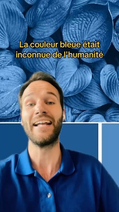 Le BLEU n’existait PAS