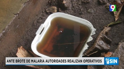 Realizan operativos ante foco de malaria en el país | Primera Emisión SIN