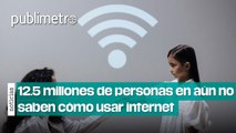 12.5 millones de personas en México aún no saben cómo usar internet