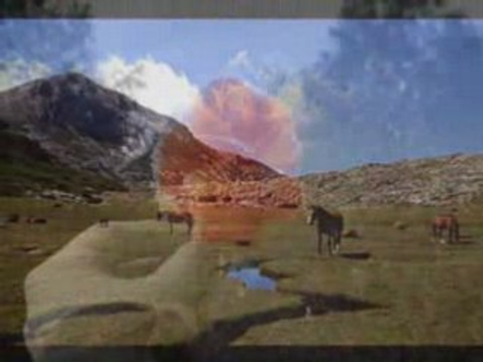 Lamentu di u prigiuneru