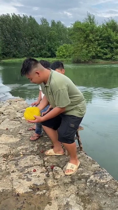 Funny Video