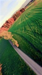 let's fly with me Beautiful  greenery Drone shot