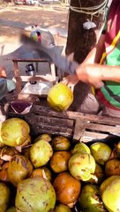 ¡Karol G se mojó con el estreno de su nueva canción!