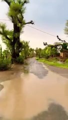 Beautiful ❤️ Fully heavy Rain ☔ And wive