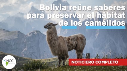 Bolivia reúne saberes para preservar el hábitat de los camélidos | 666 | 24 al 30 de junio de 2024
