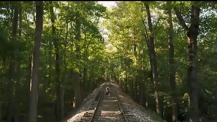 Backstreet Dogs Bande-annonce (IT)