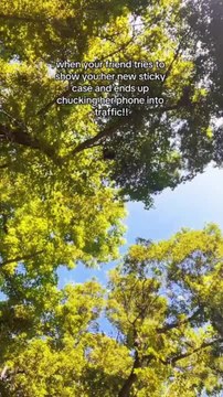 Woman Tosses Phone Out of Moving Car's Open Window While Trying to Show Off Sticky Phone Case