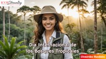 ¡Descubre la Magia de los Bosques Tropicales!