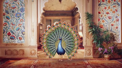 Lüksün İzinde: Anadolu'da 500 Yıllık Bir Yolculuk | movie | 2024 | Official Trailer