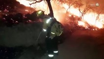 Zapopan, el municipio con más incendios en estiaje; Jalisco en los primeros lugares a nivel nacional