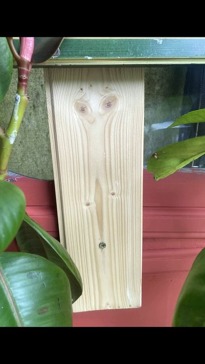 Seeing Faces in Everyday Objects - Part 52