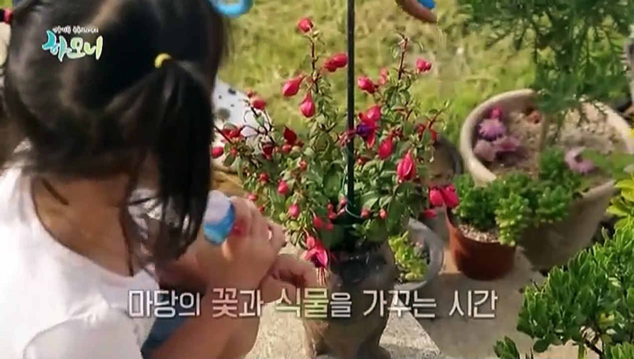 [하모니] 해남 꿀고구마 부부의 러브 하우스 - 1부