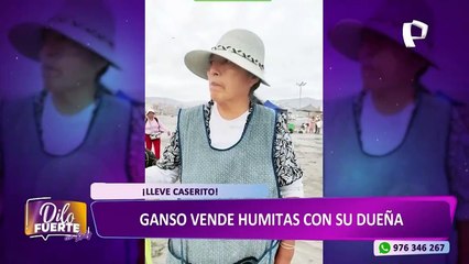 ¡Lleve caserito!: Gansito ayuda a vender humitas a su dueña en Arequipa
