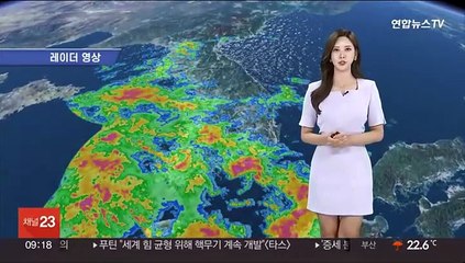 [날씨] 남부 올 첫 장맛비…내일까지 시간당 50㎜ 폭우