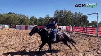 Mare shatters price record at Ag-Grow Elite Horse Sale | June 22, 2024 | Queensland Country Life