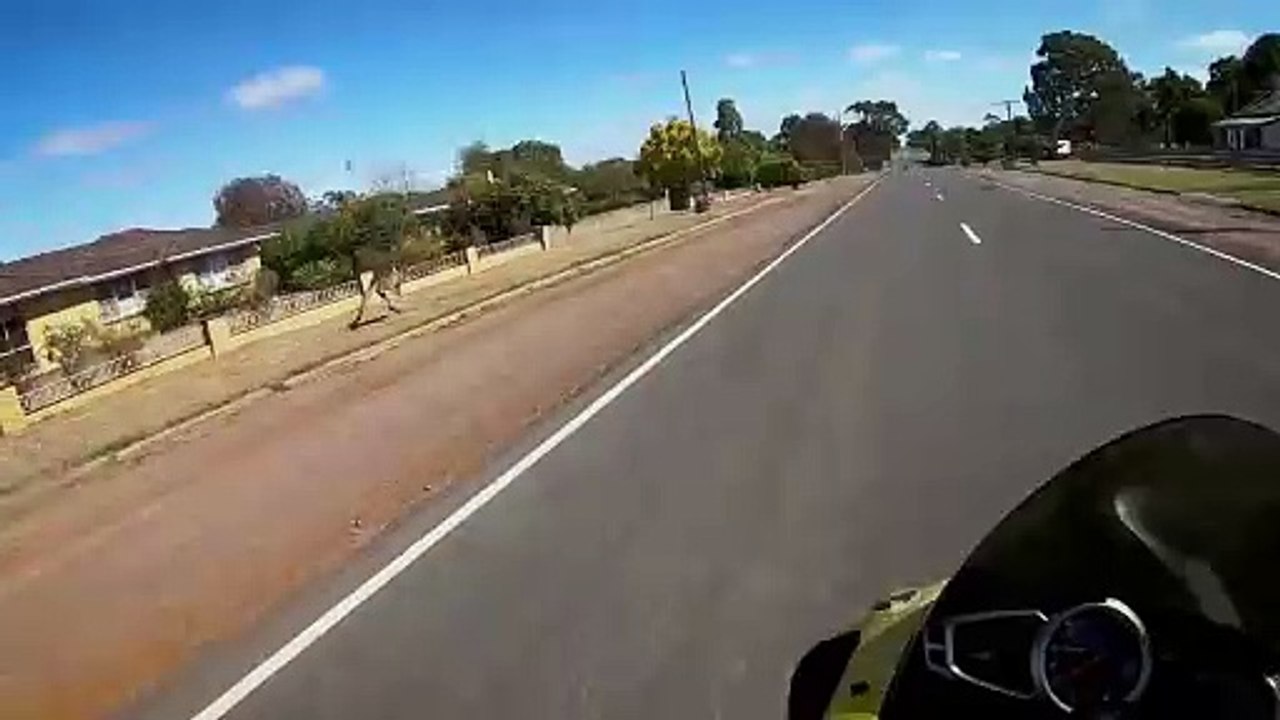 A Little Outback Encounter