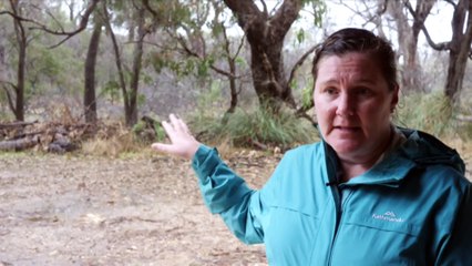 Perth aurora chaser joins fight to protect Lake Clifton Thrombolites after walking on ancient fossil site