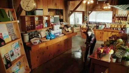 Sugar Plum Twist 2024 - New Hallmark Romance Movies 2024 - Romantic Movies 2024