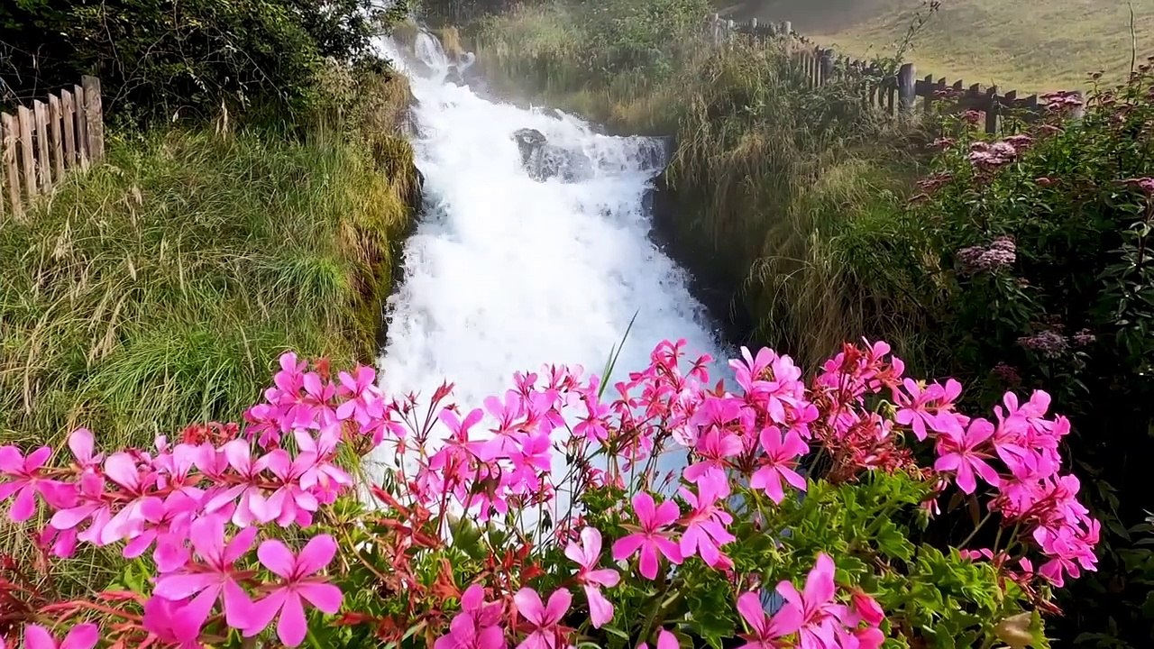 Beautiful Nature