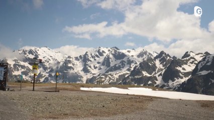 JT DES TERRITOIRES - 22/06/24 - IMPRIMEURS - AGRICULTURE - JO 2024 - JARDIN EXOTIQUE