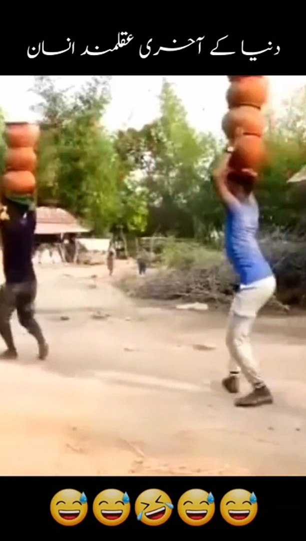 Funny video funny funny