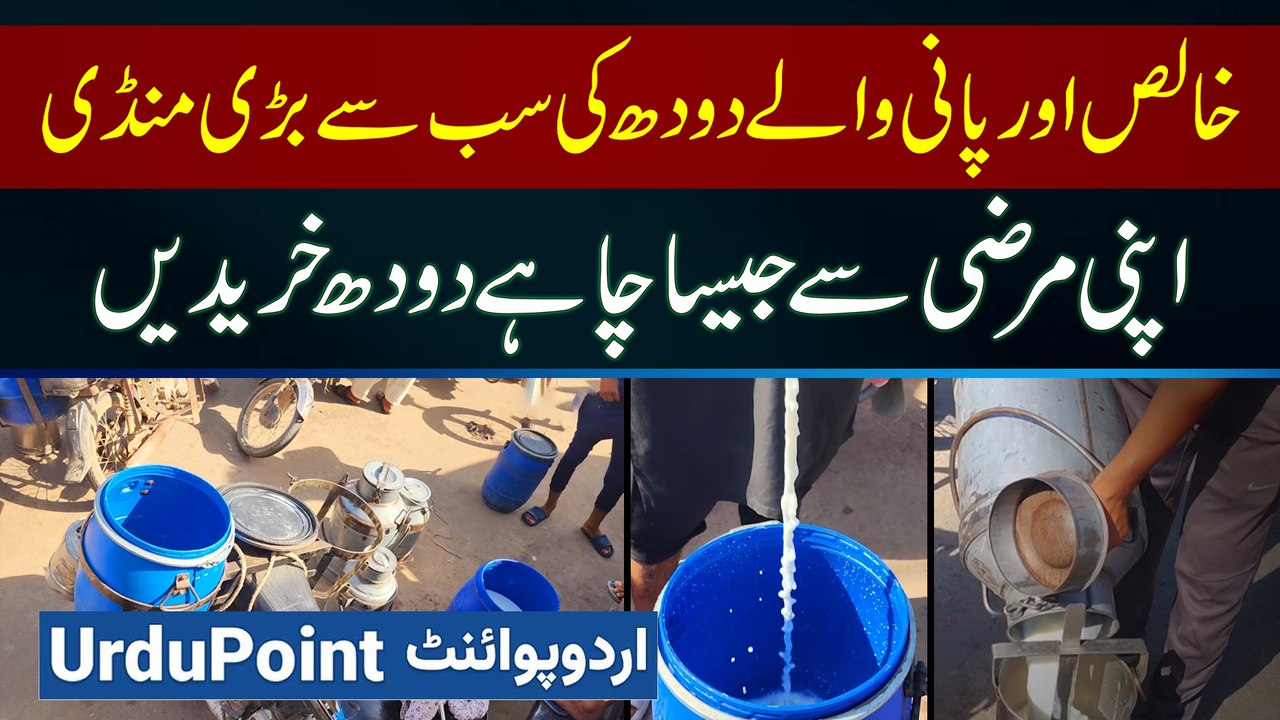 Pure Milk Aur Pani Mein Doodh Ki Sab Se Bari Mandi - Apni Marzi Se Jaisa Chahe Doodh Kharide