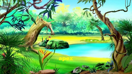 Amazon Jungle | Exploring the Dangers