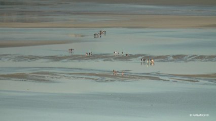 La baie de la grande marée