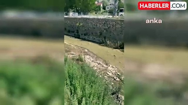 Tohma Çayı'ndaki Balık Ölümleri Meclis Gündeminde