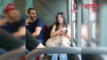Köpekle otobüse bindi, tepki gösteren yolcularla tartıştı