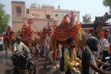 हडमलजी राइका गौरव दिवस पर ऊंट और घोड़ों की रैली, देखें वीडियो