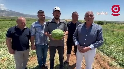 Manisalı karpuz üreticisi: "Bu işten para kazanamıyoruz"