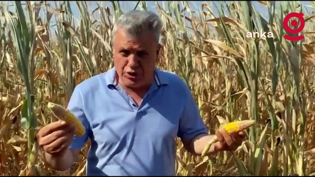 Ayhan Barut, Kozan'da çiftçilerin sorunlarını dinledi: Tüm tarım alanları neredeyse tamamen kurudu