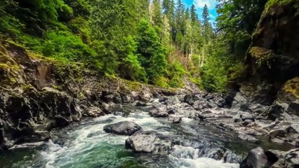 Romantic Hindi Song I सपनों की दुनिया I #musicvideo