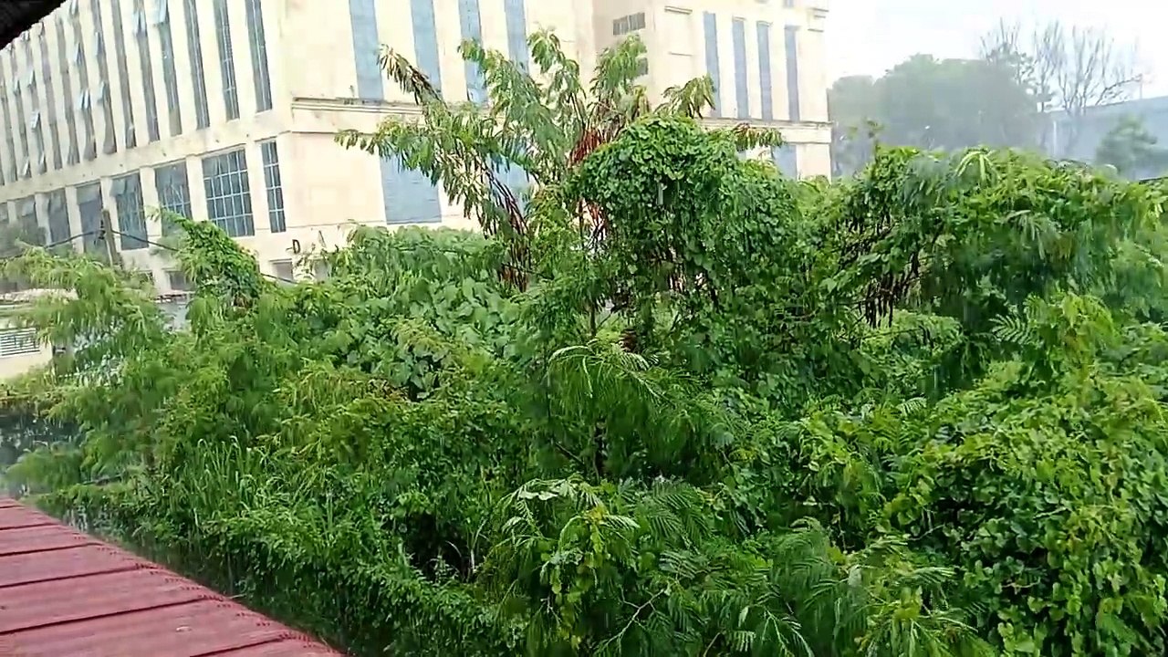 1000026316