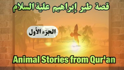 طير إبراهيم  الجزء  ( 1 )  قصص الحيوان في القرآن