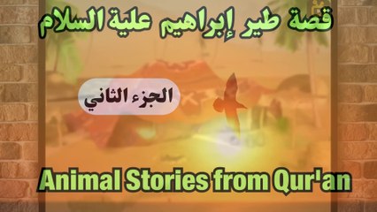 طير إبراهيم  الجزء  ( 2 )  قصص الحيوان في القرآن