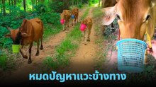 เจ้าของวัวไอเดียเริด ตะกร้าครอบปากวัว หมดปัญหาน้องแวะข้างทาง